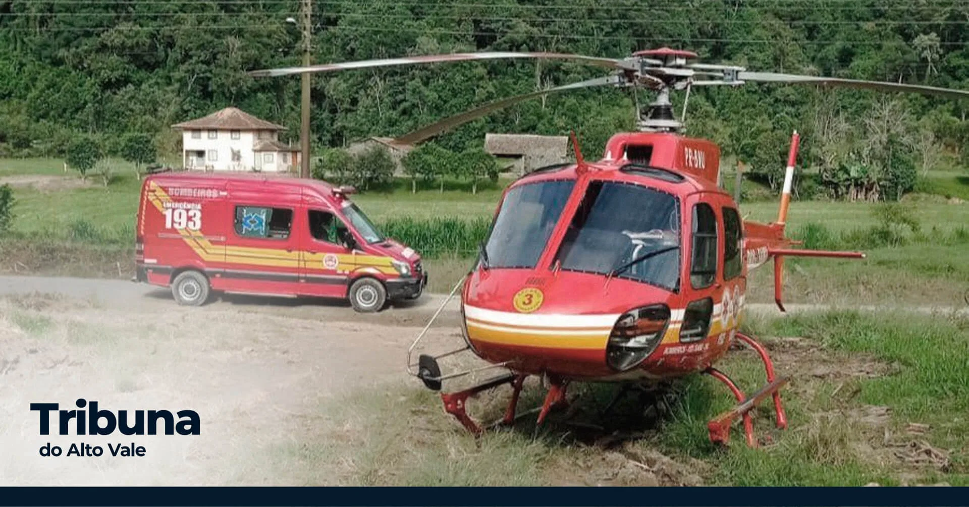 Homem Morre Atingido Por Rvore Em Rio Do Oeste Tribuna Do Alto Vale